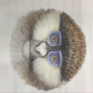 Meet your Posher, Clyde